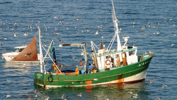 Cinq marins pêcheurs naufragés secourus à El Jadida par un hélicoptère de la Gendarmerie Royale