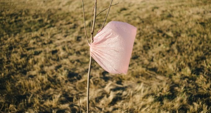 Zero Mika: Plus d’un an après son interdiction, le sac en plastique résiste toujours