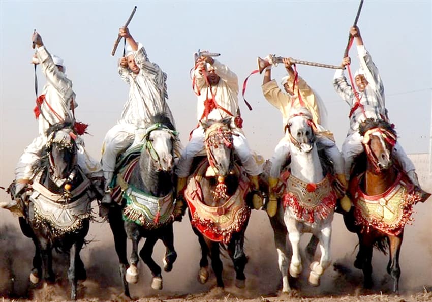 Salon du Cheval d’El Jadida: La Sorba de Aziz El Fathy remporte le Grand Prix