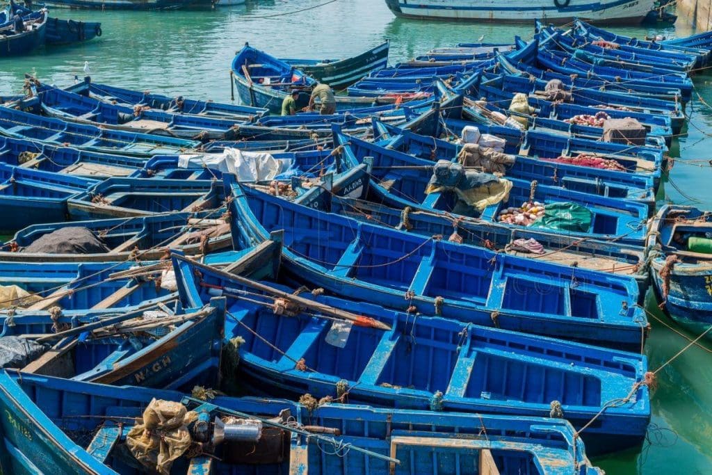 Dakhla: Un chantier clandestin de fabrication de barques démantelé