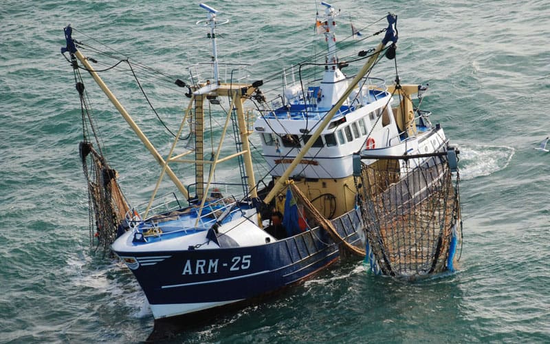 Cabo Negro-Martil: Interdiction de la récolte et la commercialisation des coquillages dans la zone conchylicole