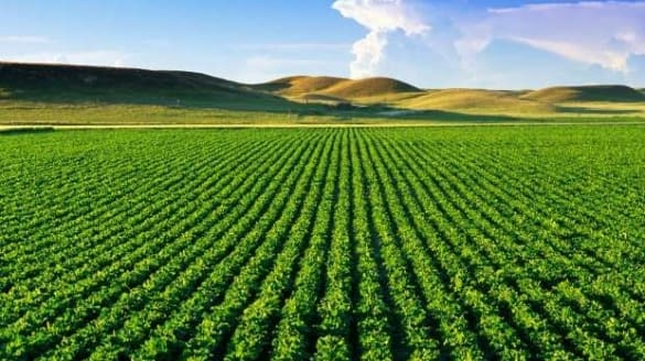 Terres agricoles : la levée des obstacles liés à la nationalité des acquéreurs impactera les fragilités du rural