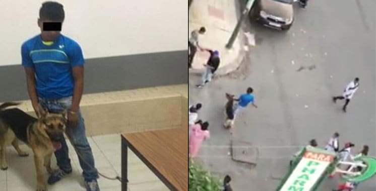Arrestation d’un jeune homme qui terrorisait les passants avec un chien