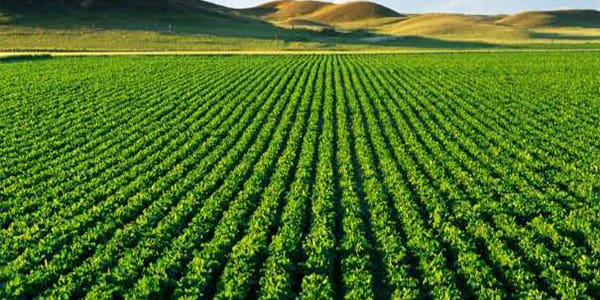 Plan Maroc vert:110 nouveaux projets couvrant les 12 régions du Royaume programmés pour 2018