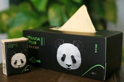 Chine: les fibres des excréments de panda recyclé en mouchoirs