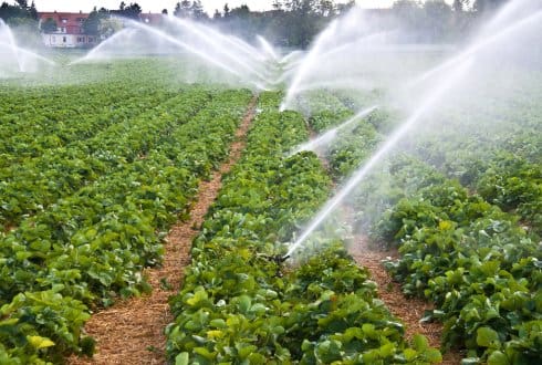 Banque mondiale: 200 millions de dollars pour soutenir le secteur agricole marocain
