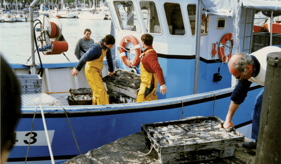 UE / Maroc: 75% des provinces du sud bénéficient des impacts sociaux économiques de l’accord de pêche