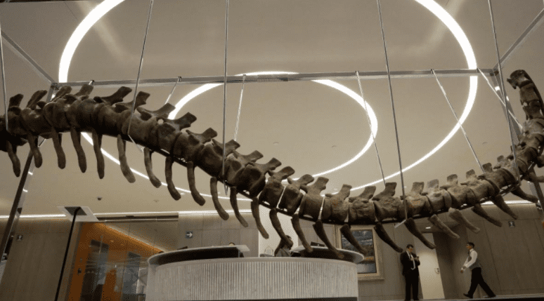 Queue de dinosaure originaire du Maroc au Mexique: ouverture d’une enquête préliminaire