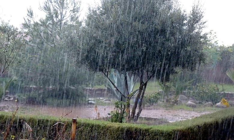 Alerte Météo: Fortes rafales de vent et averses orageuses mercredi et jeudi