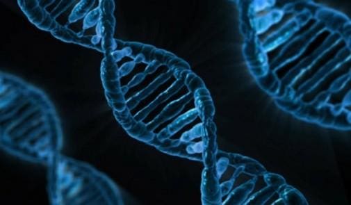 AMRM: « Reconnaître les maladies rares est une priorité de santé publique »