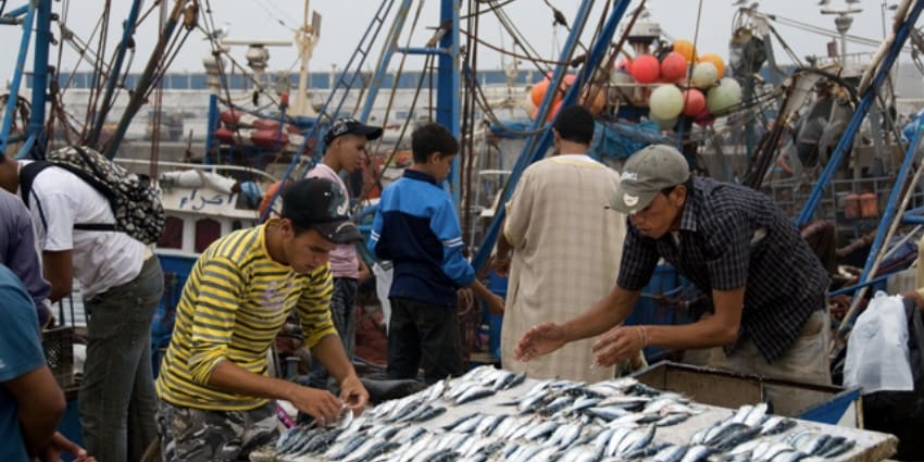 Pêche côtière et artisanale: baisse de 5% des débarquements à fin 2017
