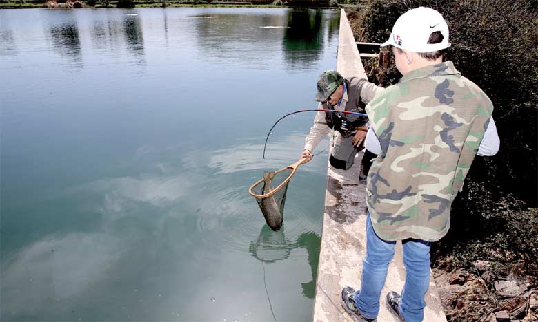 Eaux continentales: lancement officiel à Azrou de la saison de la pêche