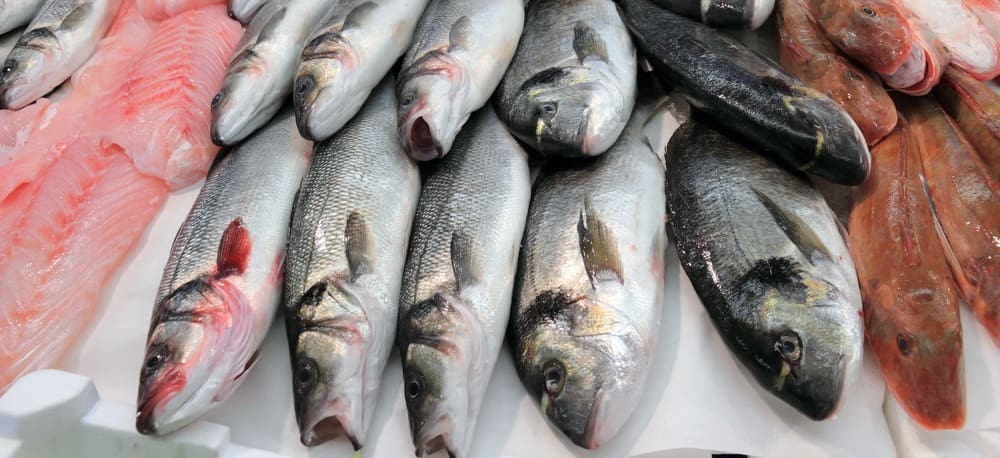 Rabat : le marché de gros aux poissons de Tamesna mis en service mardi