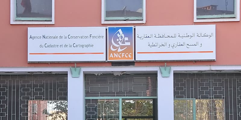 Hausse de 46% de la superficie immatriculée en 2017