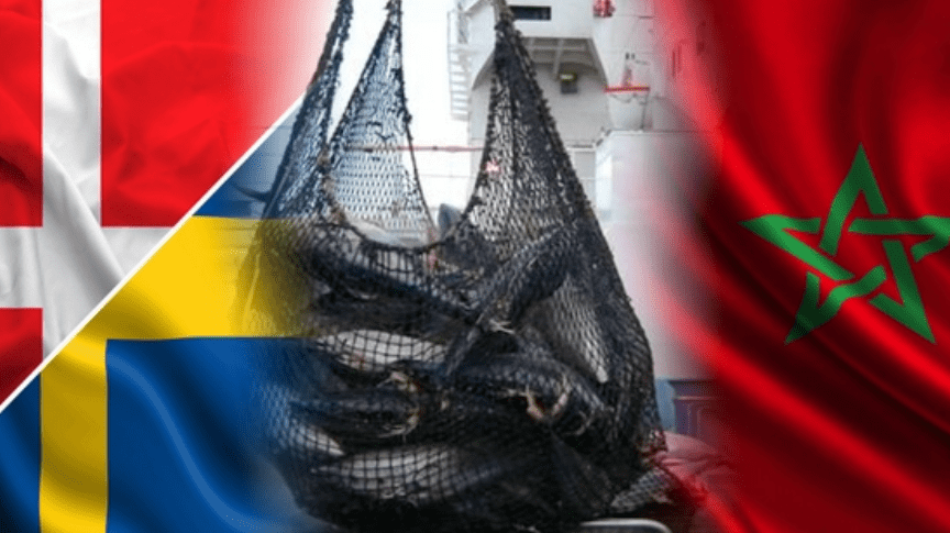 La Suède et le Danemark autorisent leurs gouvernements à négocier l’accord de pêche avec le Maroc