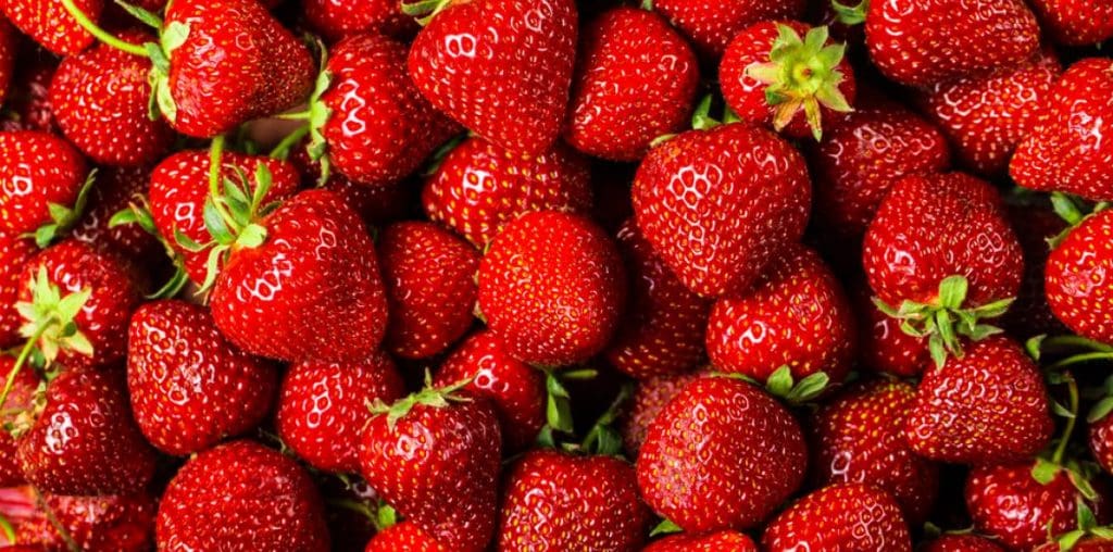 Moulay Bousselham : coup d’envoi du 8e festival de la fraise