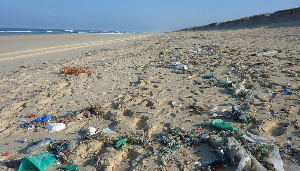 Casablanca: une action de nettoyage et de collecte des déchets laissés sur la plage