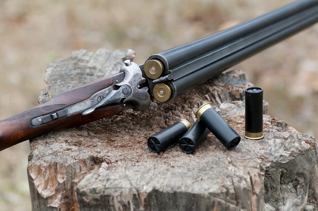 Un ex-militaire tire sur ses deux sœurs avec un fusil