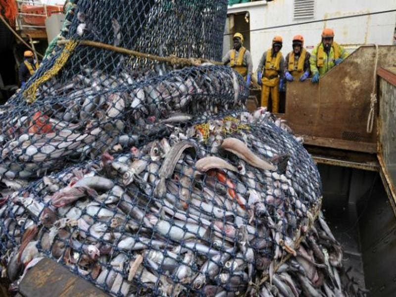 Maroc-UE : la Chambre des représentants adopte un projet de loi sur l’accord de pêche durable