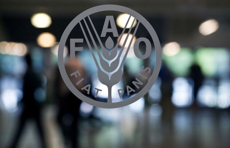 FAO: Le Sénégal parmi les 39 pays ayant besoin d’aide alimentaire