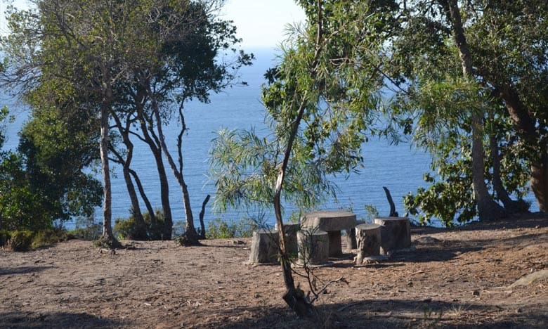 Tanger : lancement d’un programme de sensibilisation à la préservation des forêts urbaines