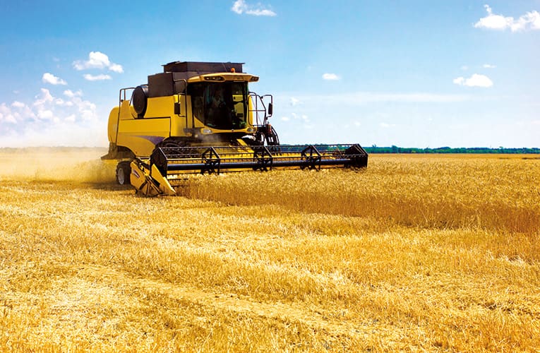 Céréales:  près de trois millions de quintaux prévus durant cette saison agricole dans l’Oriental