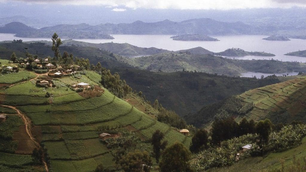 Le Rwanda avance à marche forcée pour réparer son environnement
