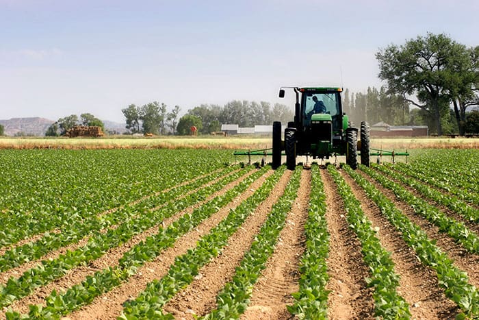 Interview de Najib Akesbi sur le bilan agricole 2019 : « C’est le Roi qui a infligé le démenti le plus catégorique à la propagande du ministère de l’Agriculture »