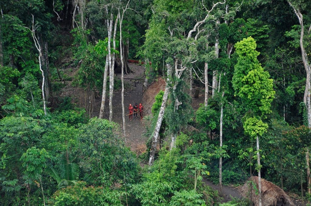 Amazonie : la Colombie mise sur la coopération régionale pour sauver le “poumon de la planète”