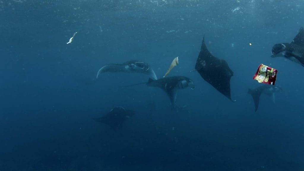 Ocean Cleanup quitte San Francisco pour nettoyer le Pacifique de ses plastiques