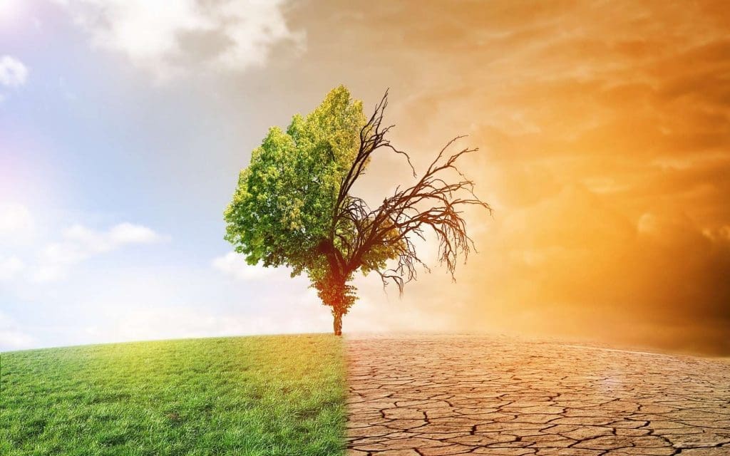 L’amélioration de l’efficacité dans l’utilisation des matières premières peut atténuer le changement climatique