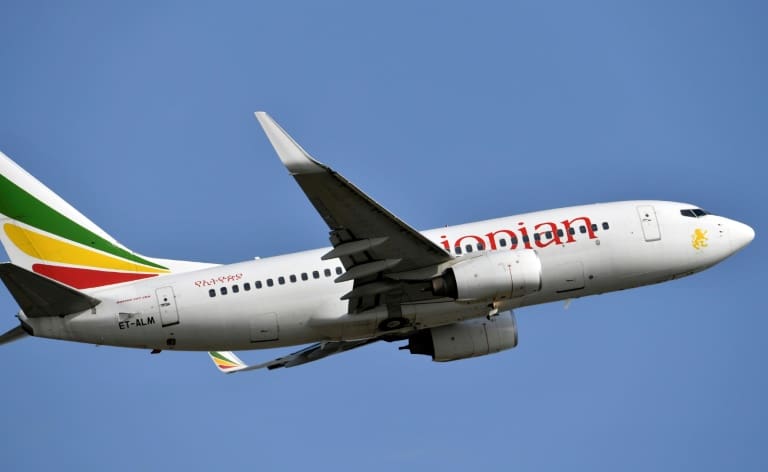 L’oiseau de paix, premier vol en vingt ans entre l’Ethiopie et l’Erythrée
