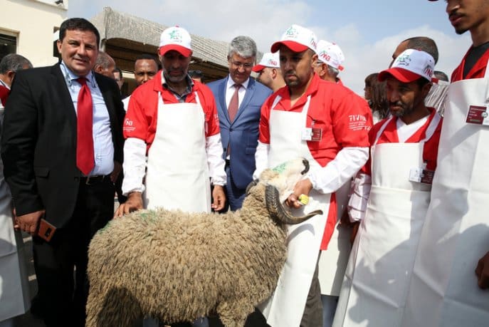 Lancement à Tanger de l’opération « Al Gazar diali »