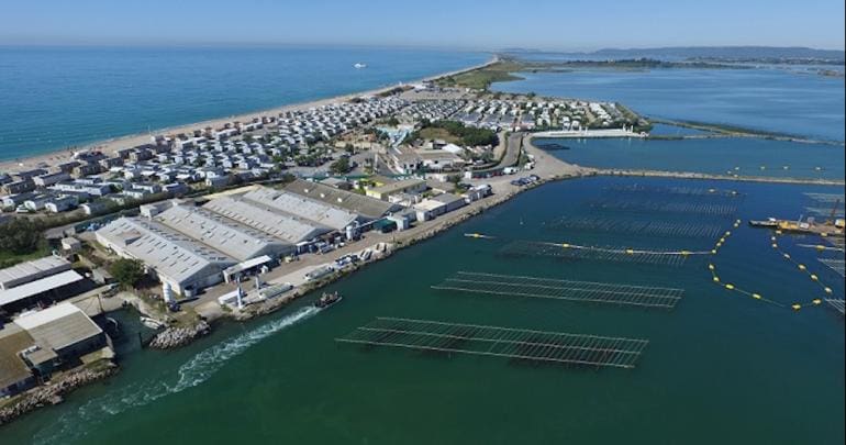 France : Congrès mondial de l’aquaculture