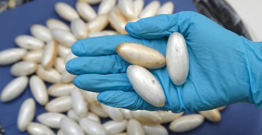 aéroport Mohammed V : plus de 1.700 grammes de cocaïne extraites des intestins d’un nigérian