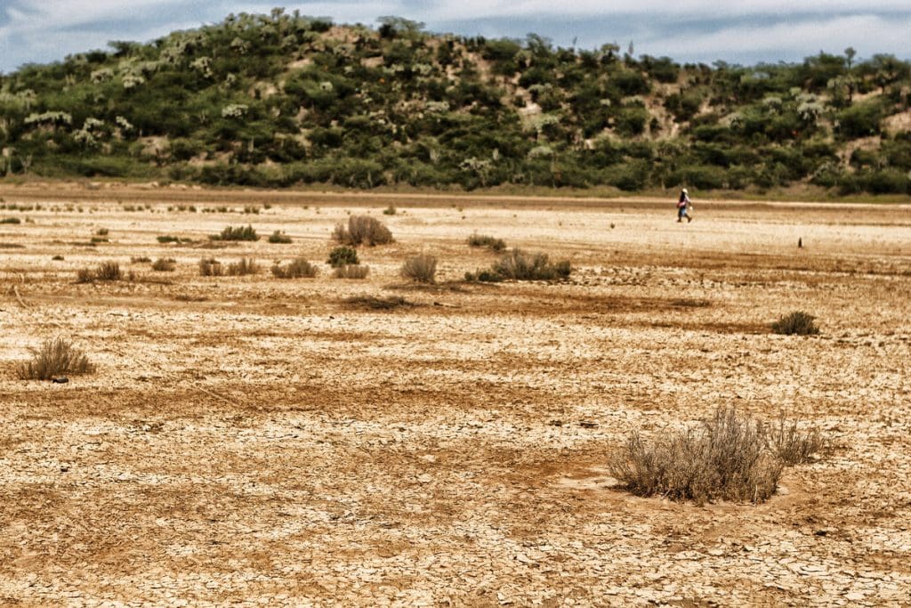 Etude: Une « transformation majeure » menace les écosystèmes de la Terre