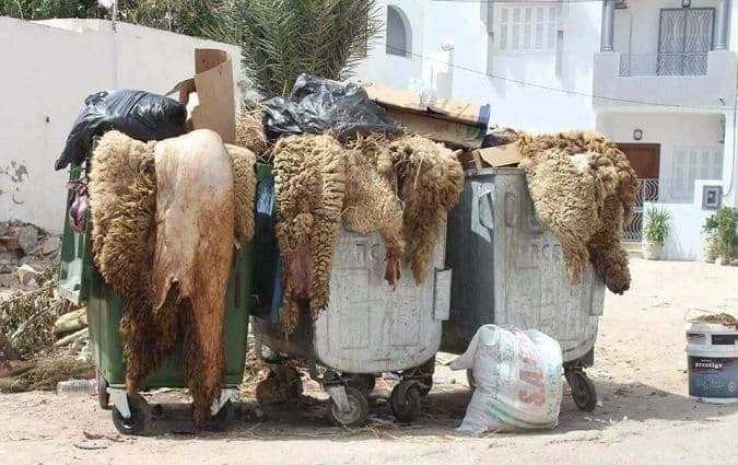 Tanger : Plus de 8.600 tonnes de déchets collectés durant la période de l’Aid Al-Adha