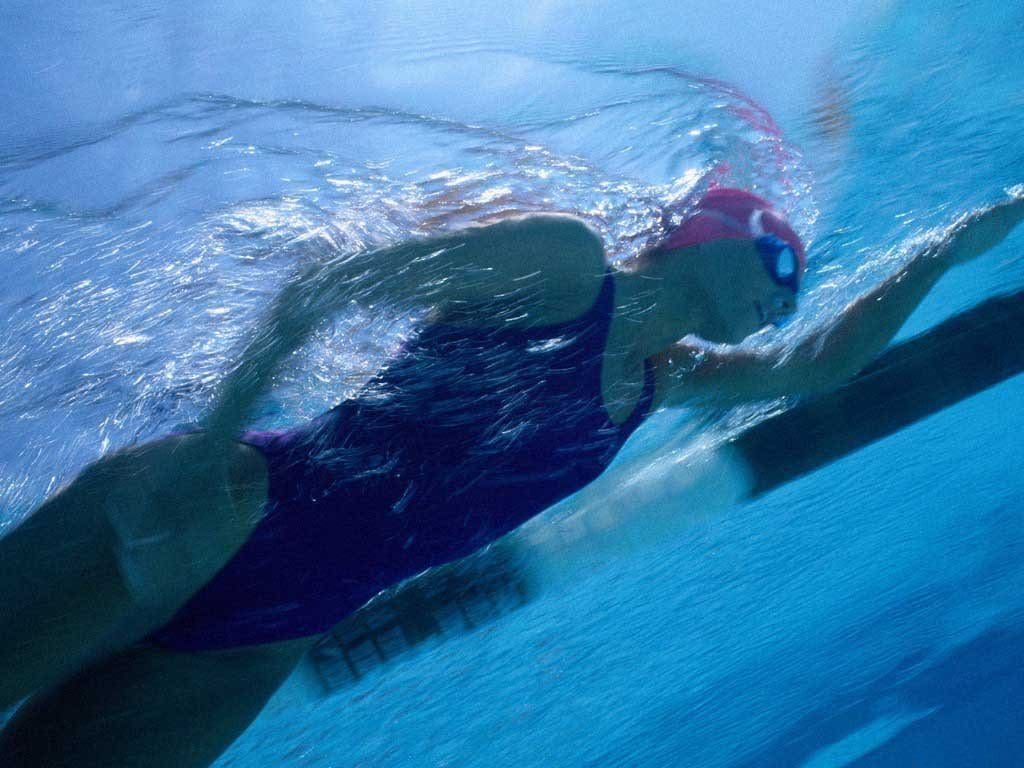 Championnat d’Afrique de natation : Le nombre de médailles marocaines porté à neuf