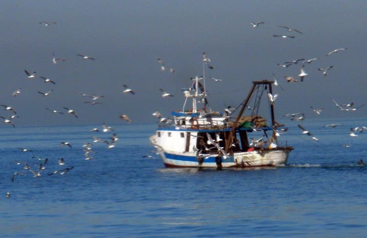 Le corps d’un migrant subsaharien pêché à Nador