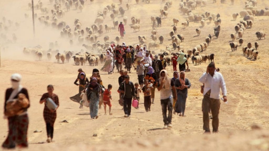 OIM: Près de 4 millions d’Irakiens déplacés par l’EI rentrés chez eux