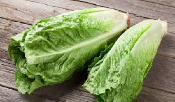 Des chercheurs américains préviennent contre la consommation de la laitue