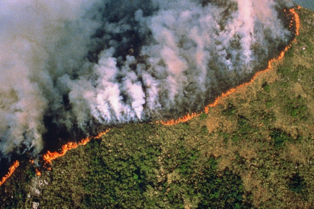 Amazonie : deux avions commencent à lutter contre les incendies
