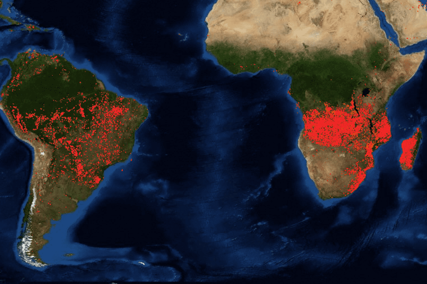 Amazonie/Afrique : la forêt brûle en Afrique centrale et c’est dû aux « techniques agricoles »