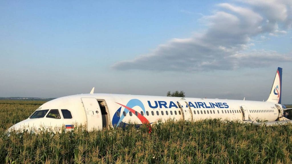 Russie : un Airbus a atterri d’urgence dans un champ de maïs après avoir percuté une volée d’oiseaux