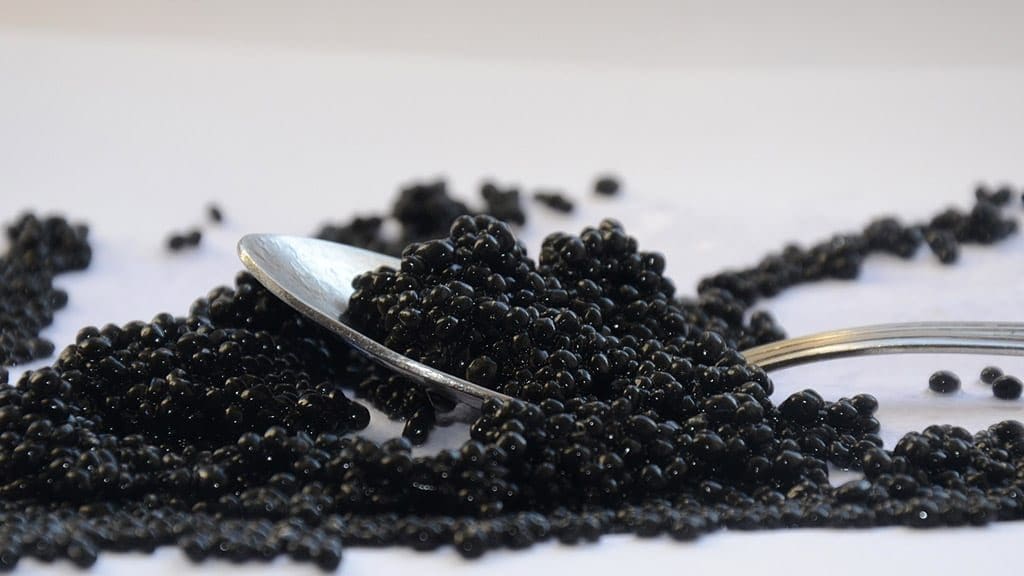 Un caviar africain made in Madagascar, 2 fois moins cher