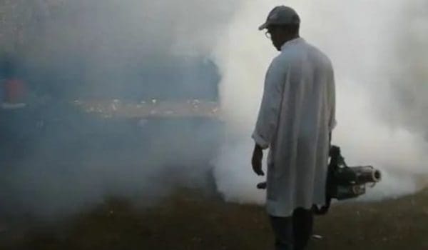 Casablanca : les autorités interviennent pour empêcher la propagation d’insectes nuisibles