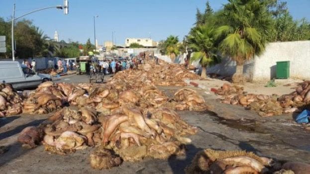 Casablanca : près de 4.000 éboueurs mobilisés pour Aïd Al Adha