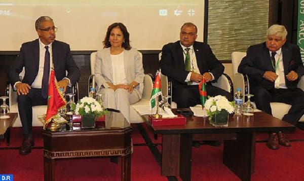 Le Maroc présidera l’instance arabe des énergies renouvelables, les deux prochaines années