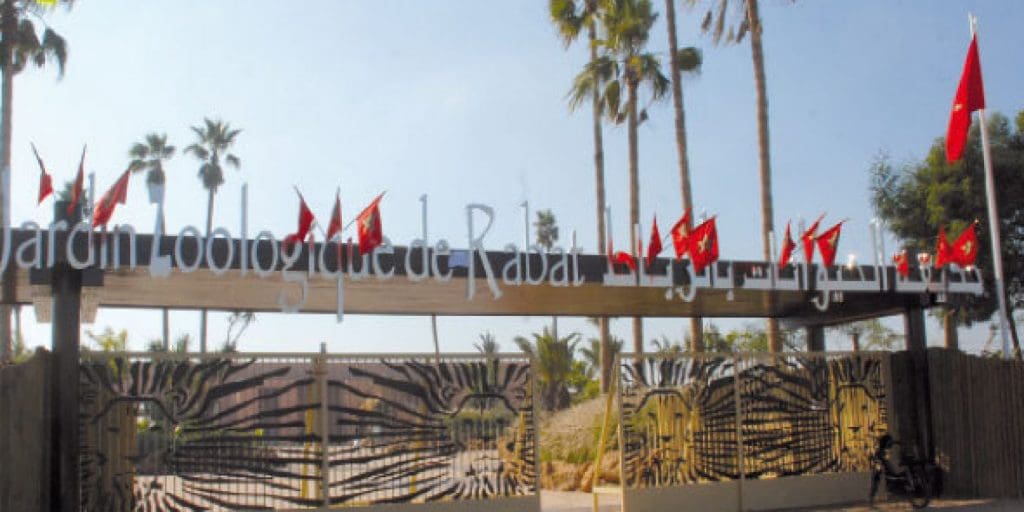 Plus de 150 nouvelles naissances au Zoo de Rabat