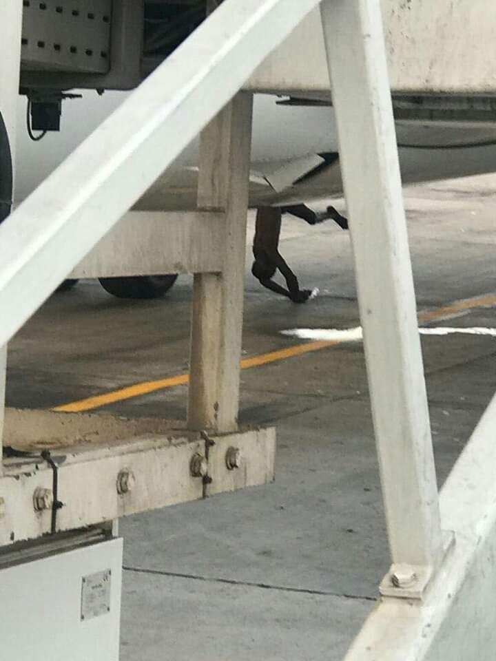 Un guinéen trouvé mort dans le train d’atterrissage arrière d’un avion
